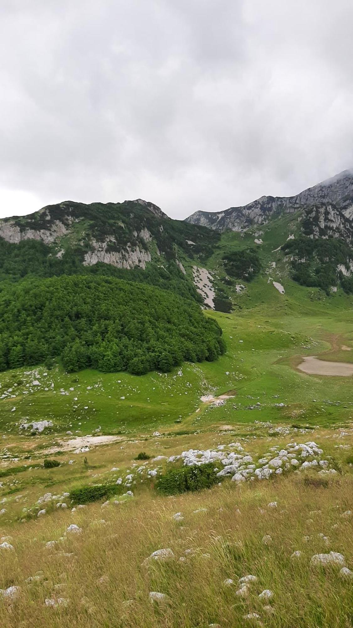 Apartments Durmitor Žabljak エクステリア 写真