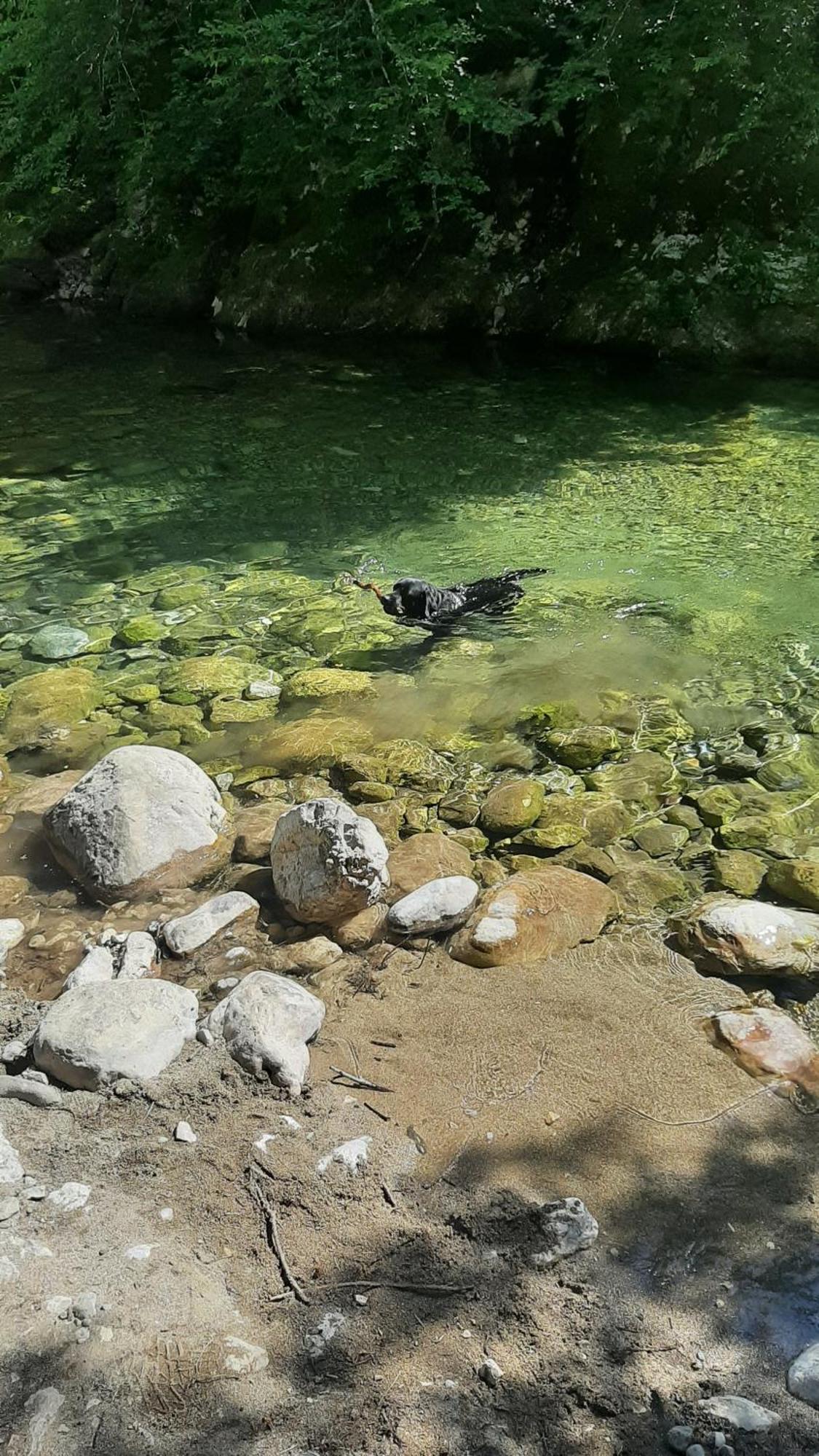 Apartments Durmitor Žabljak エクステリア 写真