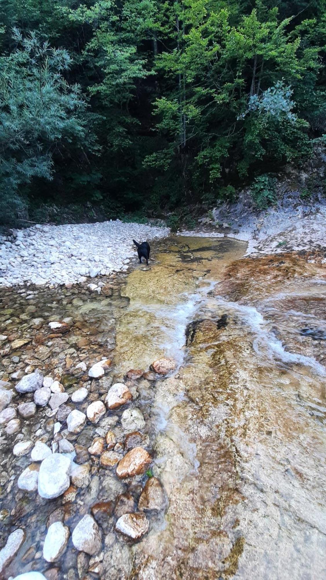 Apartments Durmitor Žabljak エクステリア 写真