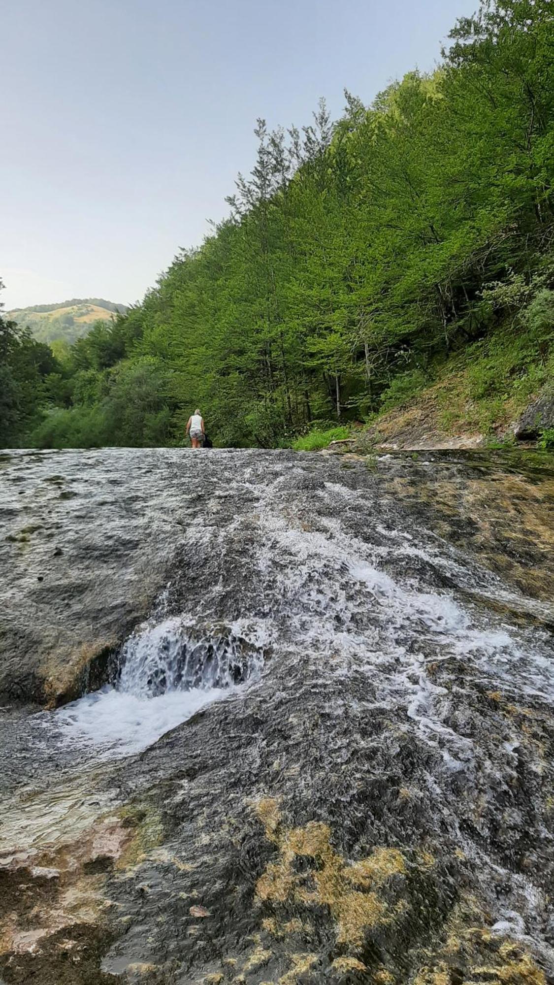 Apartments Durmitor Žabljak エクステリア 写真