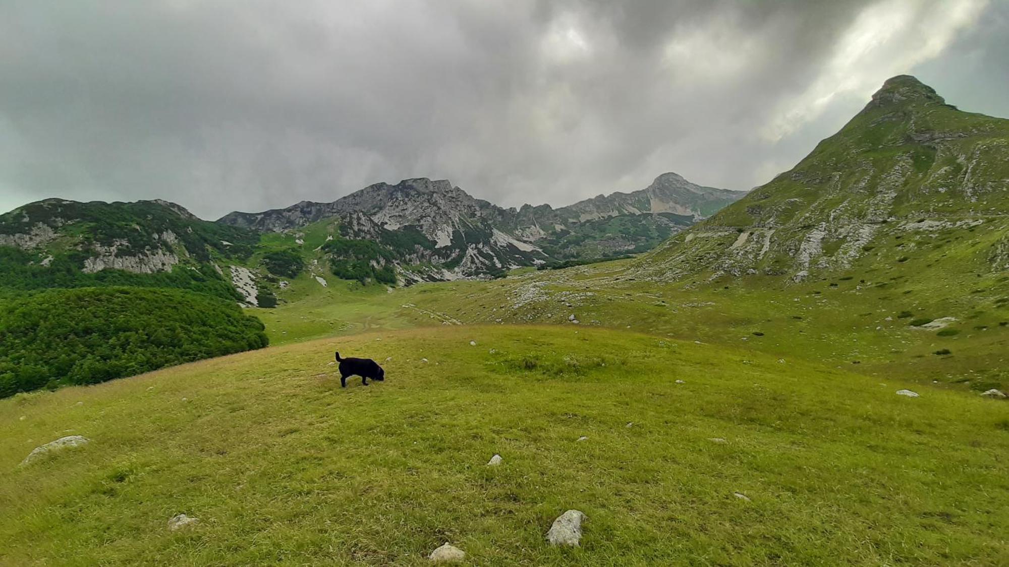 Apartments Durmitor Žabljak エクステリア 写真