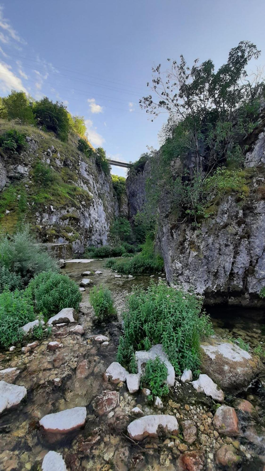 Apartments Durmitor Žabljak エクステリア 写真