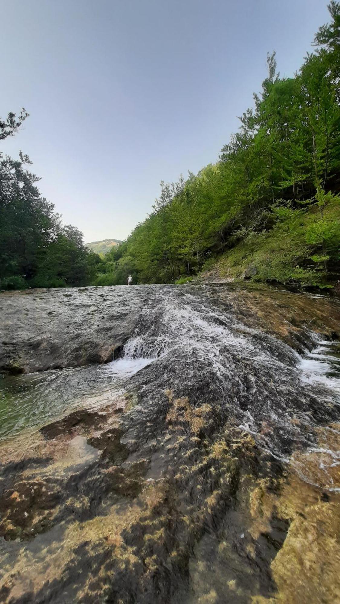 Apartments Durmitor Žabljak エクステリア 写真
