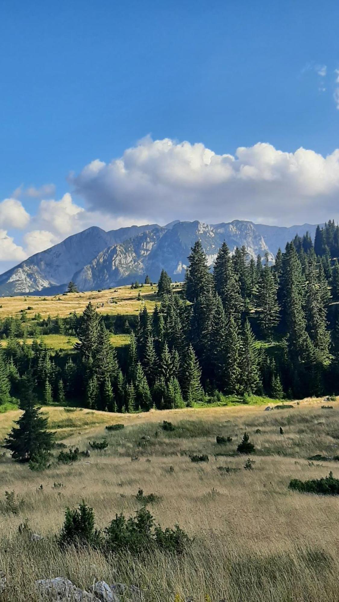 Apartments Durmitor Žabljak エクステリア 写真