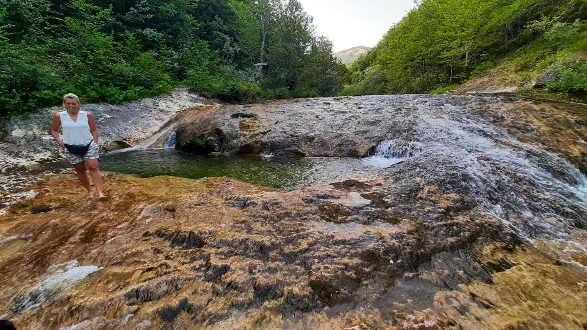 Apartments Durmitor Žabljak エクステリア 写真